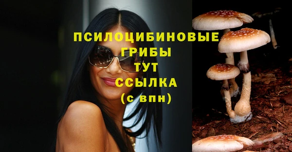 альфа пвп Горно-Алтайск