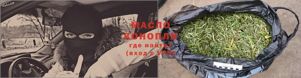 гидра Горняк