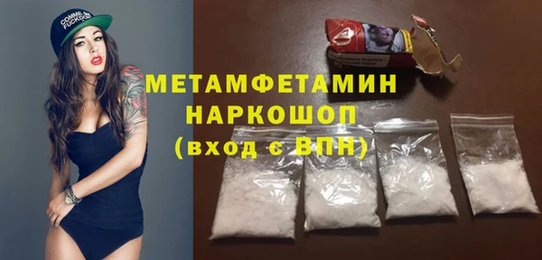 гидра Горняк