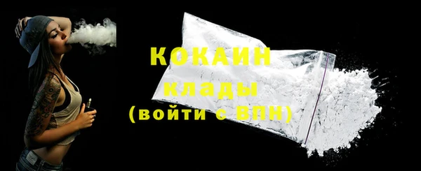гидра Горняк