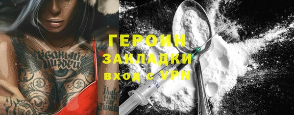 гидра Горняк