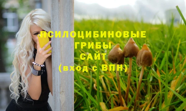 гидра Горняк
