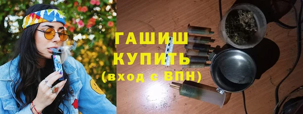 гидра Горняк